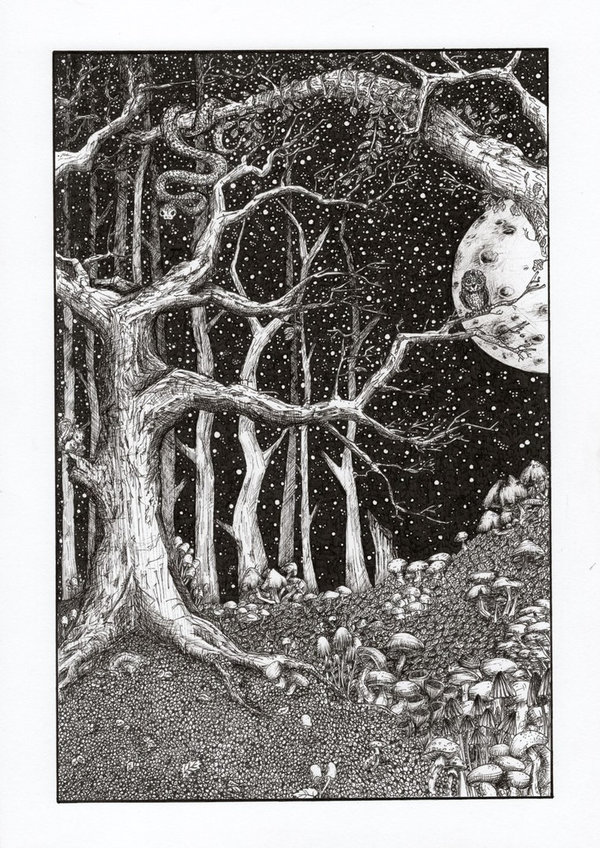 Nightcall - Fineart Print